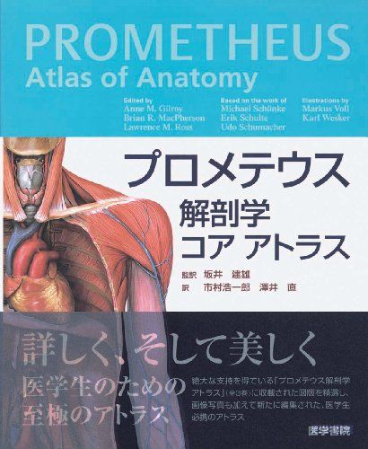 楽天市場】プロメテウス解剖学コア アトラスの通販 楽天市場】プロメテウス解剖学コア アトラスの通販
