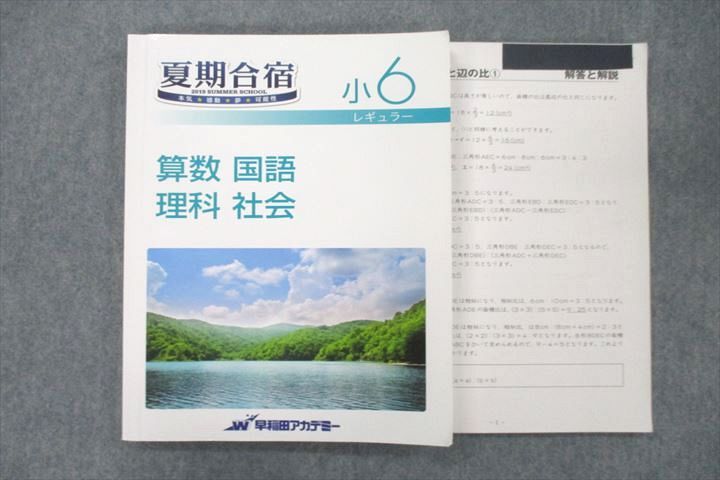 VA26-015 早稲田アカデミー 小6 夏期合宿テキスト レギュラー 国語/算数/理科/社会 2019 20S2C