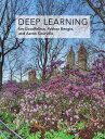 Deep Learning (Adaptive Computation and Machine Learning series)(3)