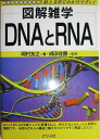 DNAとRNA: 絵と文章でわかりやすい (図解雑学)
