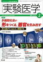 実験医学 2015年2月号 Vol.33 No.3 多細胞社会が形をつくる 器官を生み出す 折れ曲がり ねじれ 移動する 単行本 倉永 英里奈