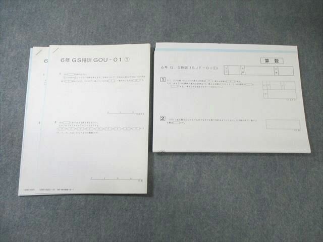 SAPIX 小6 サピックス 算数 GS特訓 【計12回分】 未使用品 2020 010s2C