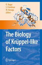 The biology of Kru¨ppelーlike factors