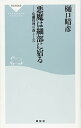 悪魔は細部に宿る 危機管理の落とし穴(祥伝社新書) 樋口晴彦