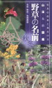 野草の名前秋・冬―和名の由来と見分け方 (山渓名前図鑑) (山溪名前図鑑)