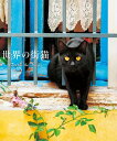世界の街猫