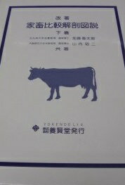 改著 家畜比較解剖図説〈下巻〉 嘉太郎， 加藤; 昭二， 山内