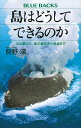 島はどうしてできるのか 火山噴火と、島の誕生から消滅まで (ブルーバックス B 2267)