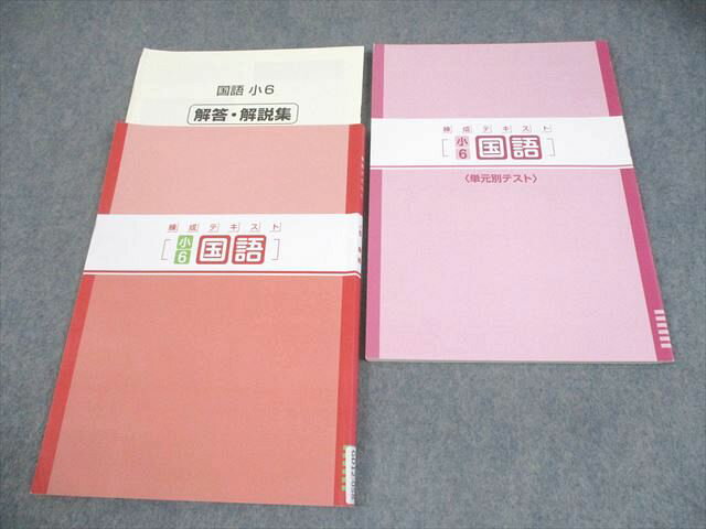 塾専用 小6 国語 練成テキスト 審査用見本 書き込みなし 014S5B