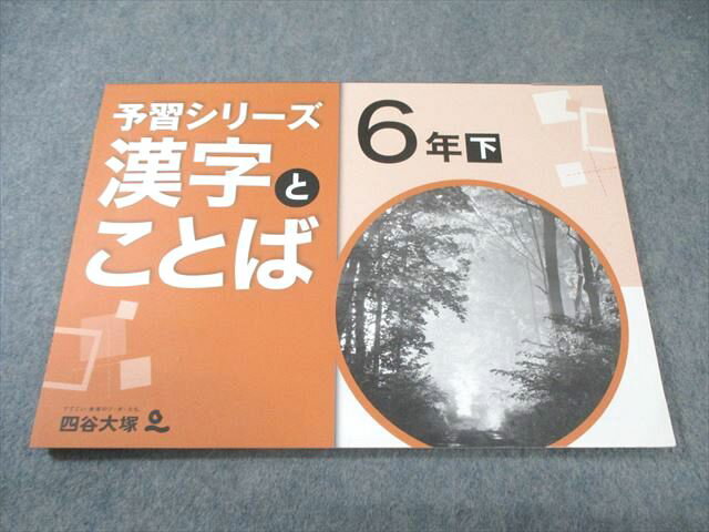 四谷大塚 小6 予習シリーズ 漢字とことば 下 140628-8 状態良品 007s2Bのサムネイル
