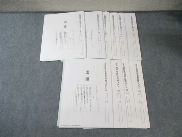 SAPIX 小6 サピックス 冬期講習/正月特訓 早稲田系対策プリント 国語 【計10回分】 2024 020S2D