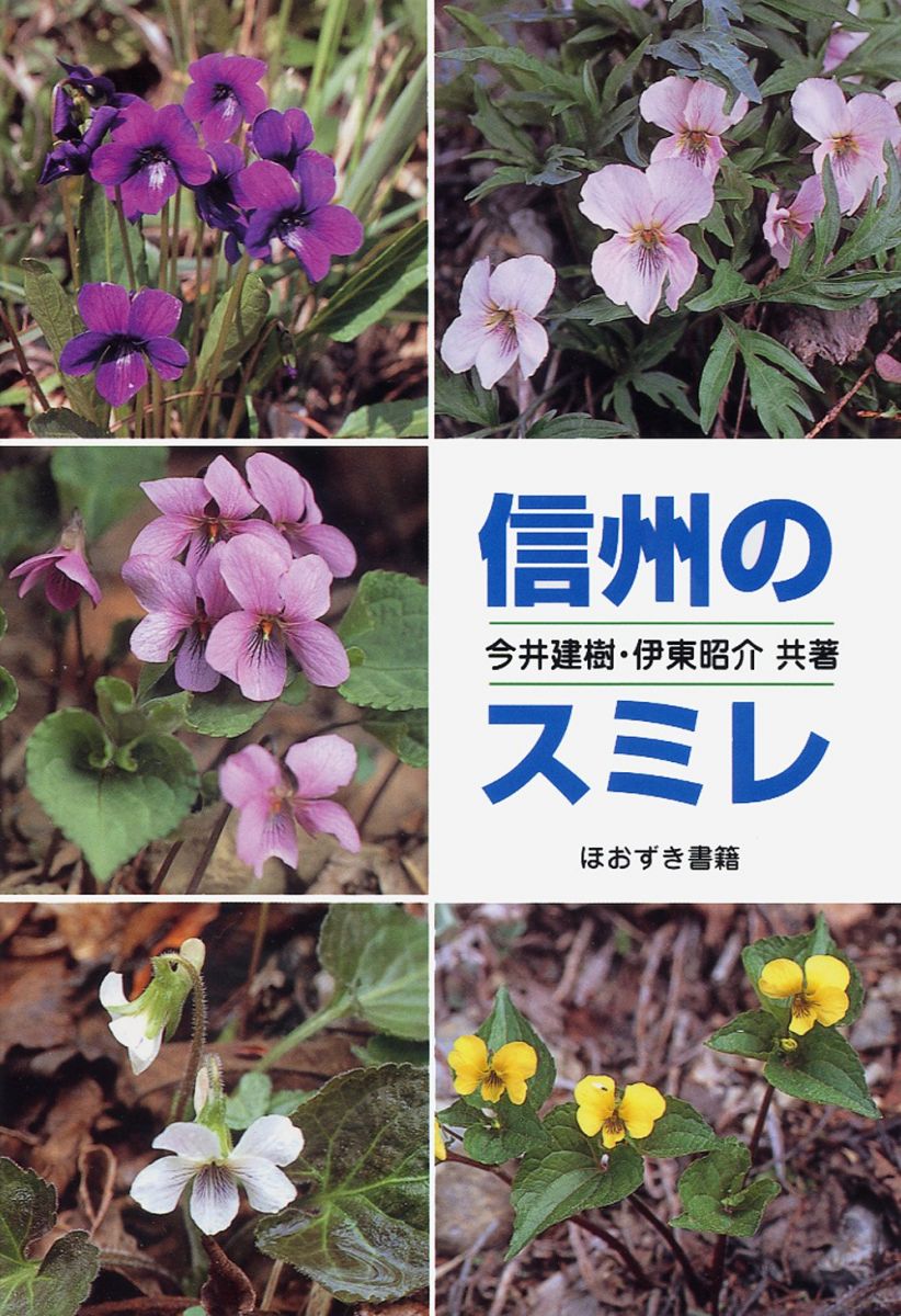 信州のスミレ 今井 建樹; 伊東 昭介