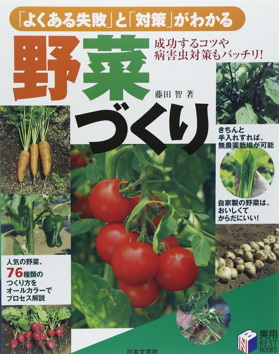 「よくある失敗」と「対策」がわかる野菜づくり (実用BEST BOOKS)