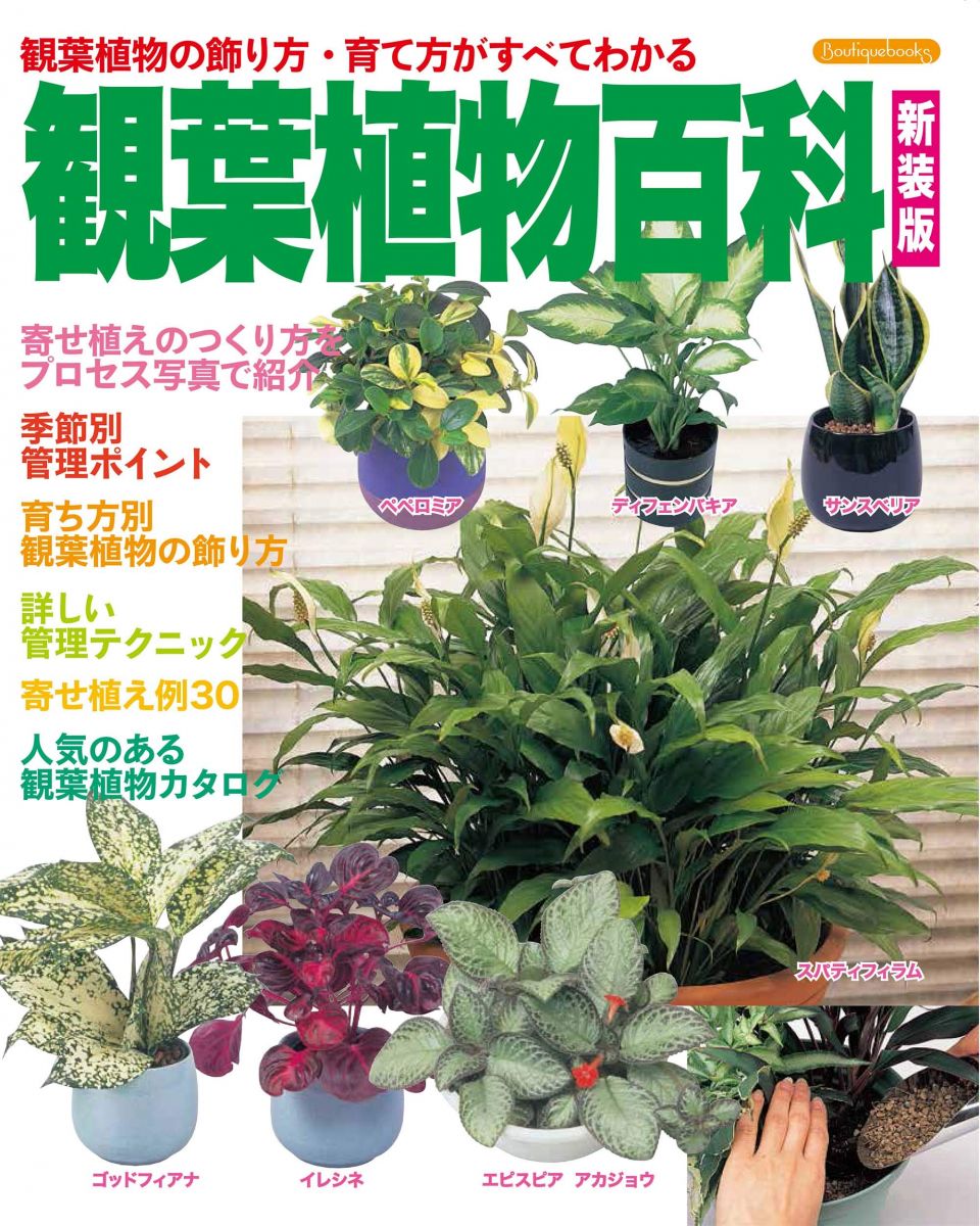 観葉植物百科 新装版 (Boutique books)