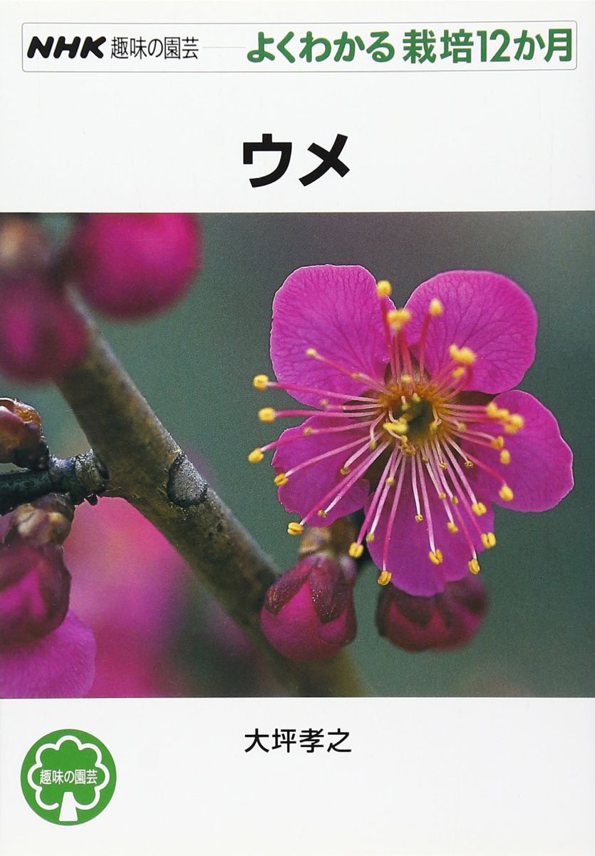 ウメ (NHK趣味の園芸 よくわかる栽培12か月)