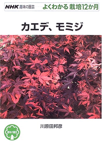 カエデ、モミジ (NHK趣味の園芸 よくわかる栽培12か月)