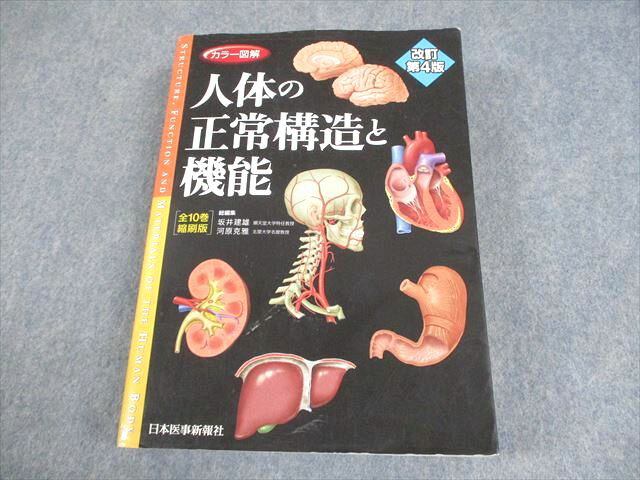 ���ܰ������� ���顼�޲� ���Τ����ﹽ¤�ȵ�ǽ[��10���̺���] ������4�� 2021 043R3D