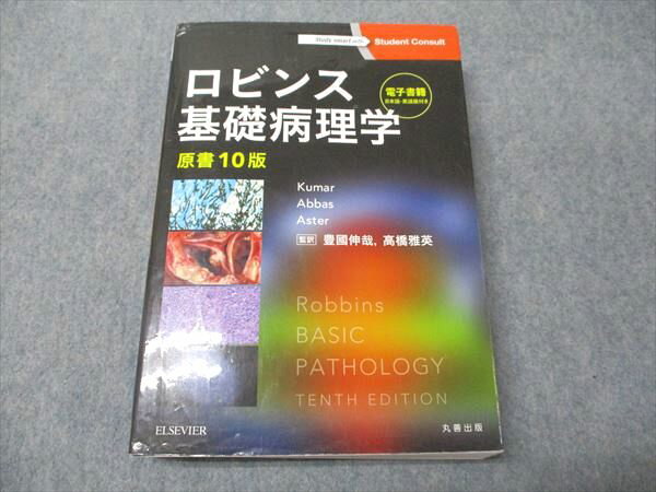 ���를�ӥ�����ѥ� ���ӥ󥹴��������� ����10�� 2018 Kumar/Abbas/Aster 037M3D