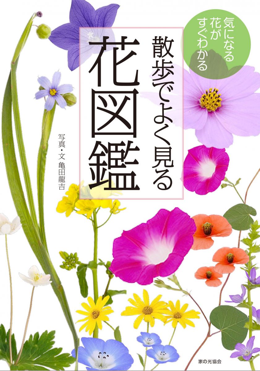 散歩でよく見る花図鑑