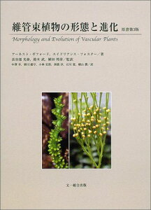 維管束植物の形態と進化 アーネスト M.ギフォード、 エイドリアンス S.フォスター; 中澤 幸