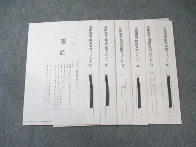 SAPIX 小6 サピックス 冬期講習 開成対策プリント(01〜06) 国語 【計6回分】 2023 007s2D