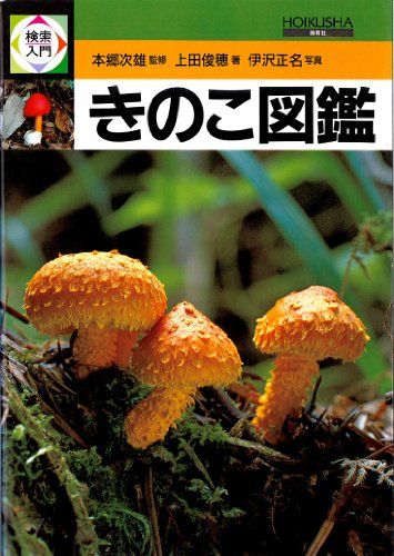 楽天市場】青森県産きのこ図鑑の通販