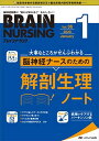 ブレインナーシング 2020年1月号(第36巻1号)特集:大事なところがぜんぶわかる 脳神経ナースのための 解剖生理ノート