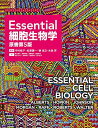 Essential細胞生物学(原書第5版) [大型本] 中村桂子、 松原謙一、 榊佳之; 水島昇