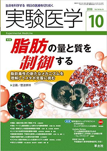 ¸ 2018ǯ10 Vol.36 No.16 ä̤ȼ椹?οʥᥫ˥򤷤ƥ᥿ܹĩ [ñ]  