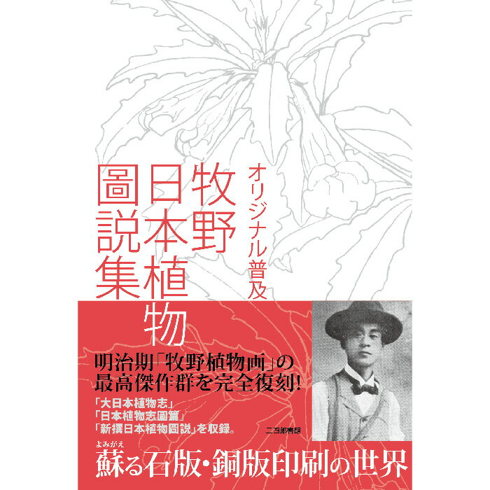 ＜新品＞オリジナル普及版　牧野日本植物圖説集著者/アーティスト名：牧野富太郎発行：三四郎書館ISBN9784991299322菊判 並製512ページ