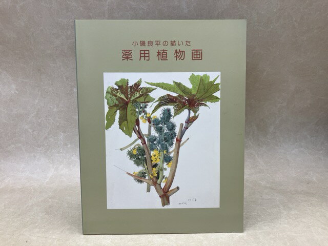 Rakuten - 【中古】 小磯良平の描いた薬用植物画