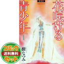 【セット】花咲ける青少年 愛蔵版 コミック 全6巻 完結セット (花とゆめCOMICSスペシャル) 樹 なつみ