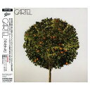 【中古】カルテル [Audio CD] カルテル
