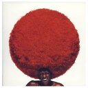 【中古】SOUL TREE ~a musical tribute to toshinobu kubota~ (CCCD)