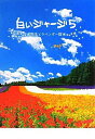 【中古】白いジャージ〈5〉先生とラベンダー畑