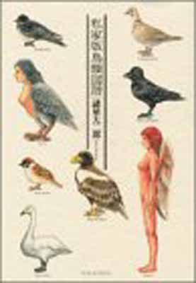 【中古】私家版鳥類図譜 (KCデラックス モーニング)