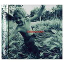 【中古】Salamander