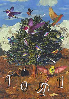 【中古】浅野忠信「トーリ」（通常版） [DVD]