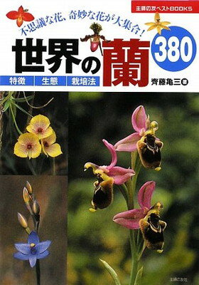 【中古】世界の蘭380—不思議な花、奇妙な花が大集合! (主婦の友ベストBOOKS)のサムネイル