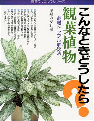 【中古】観葉植物—こんなときどう