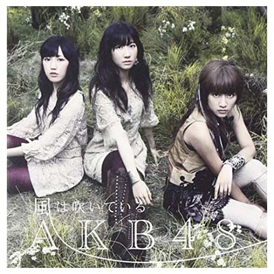 【中古】【多売特典生写真無し】風は吹いている (Type-B)(通常盤) [Audio CD] AKB48