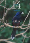 【中古】週刊 日本の天然記念物 動物編　ルリカケス　14　 小学館