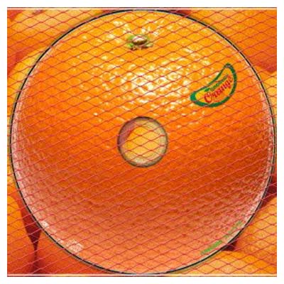 【中古】オレンジ(初回限定盤)(DVD付) 【中古】オレンジ(初回限定盤)(DVD付)