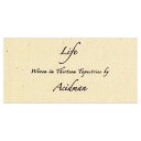 【中古】LIFE(初回生産限定盤)