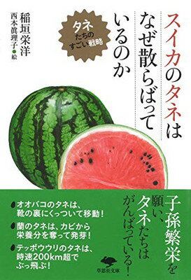 【中古】文庫 スイカのタネはなぜ散らばっているのか: タネたちのすごい戦略 (草思社文庫)