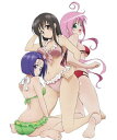 【中古】DVD付予約限定版 To LOVEる -とらぶる- (15) (ジャンプコミックス)