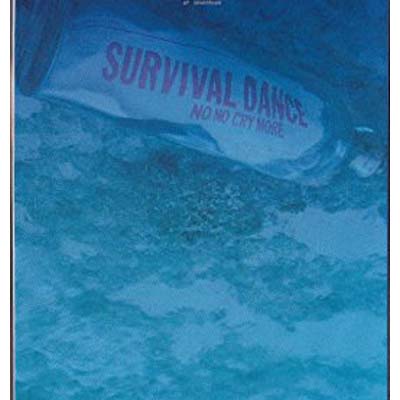 【中古】survival dAnce~no no cry more~