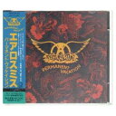 【中古】パーマネント・ヴァケイション