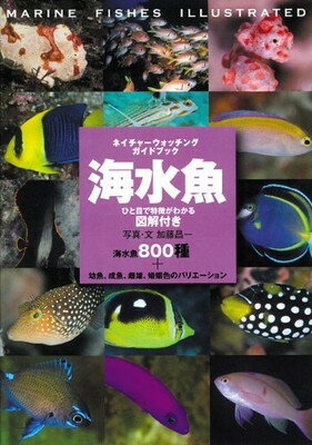 【中古】海水魚—ひと目で特徴がわかる図解付き (ネイチャーウォッチングガイドブック)