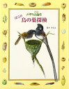 【中古】ぼくの鳥の巣探検: バサラ山スケッチ通信